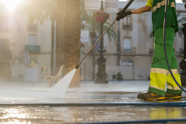 Best Sidewalk and Walkway Cleaning  in Carbondale, IL